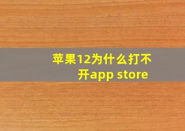 苹果12为什么打不开app store